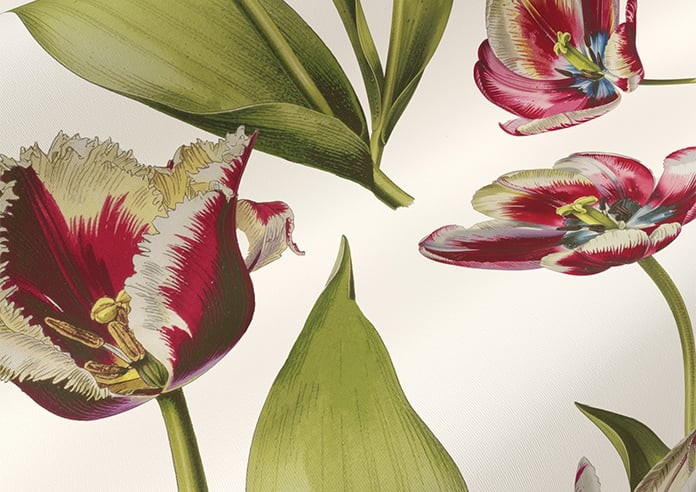 Carries, Cosmos - Roller Blind - Image 4